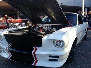 mustang pic 3
