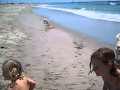 Dog Days at the Beach Summer 2010